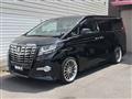 2016 Toyota Alphard G