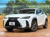 2019 Lexus Other