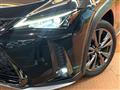 2019 Lexus Other
