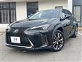2020 Lexus Other