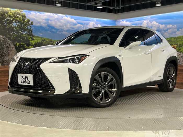 2021 Lexus Other