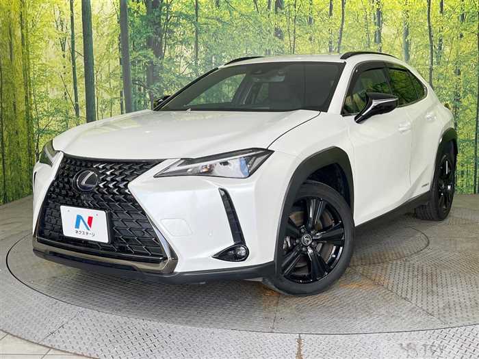 2021 Lexus Other