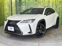 2021 Lexus Other