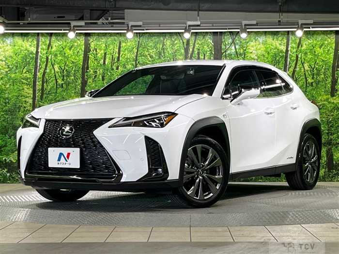 2021 Lexus Other
