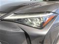 2023 Lexus Other