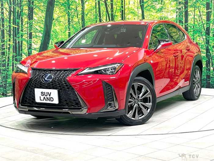 2018 Lexus Other