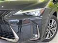 2019 Lexus Other