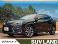 2019 Lexus Other