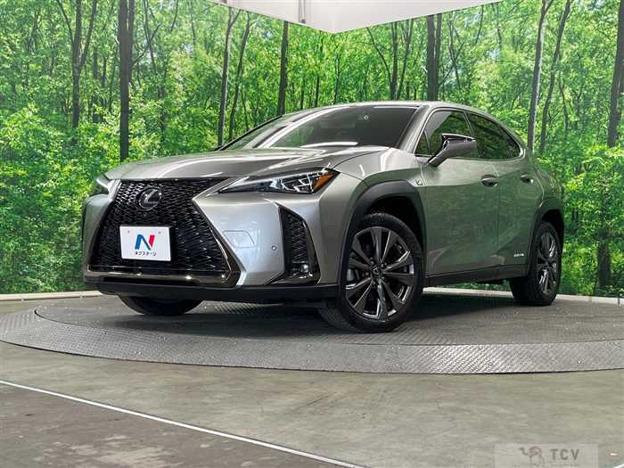 2021 Lexus Other