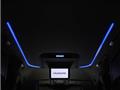 2017 Toyota Alphard G