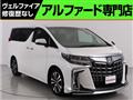 2019 Toyota Alphard G