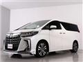 2019 Toyota Alphard G