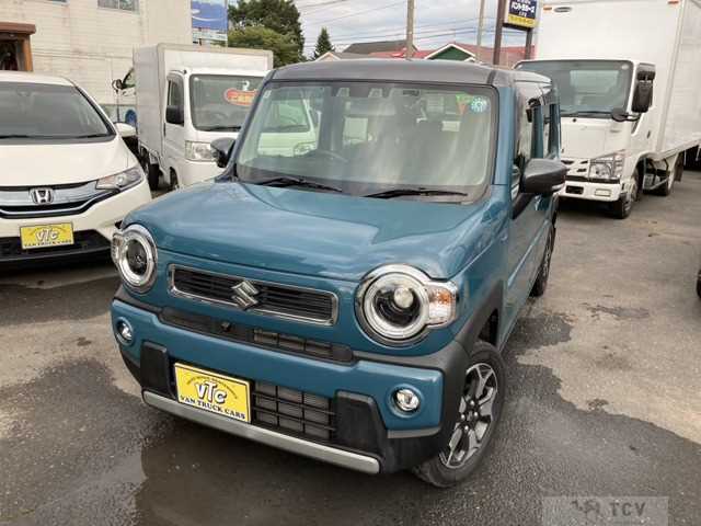 2020 Other All Other All
