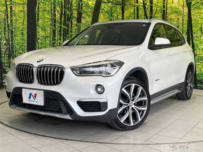 2017 BMW X1