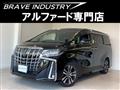 2019 Toyota Alphard G