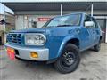 1995 Nissan Rasheen