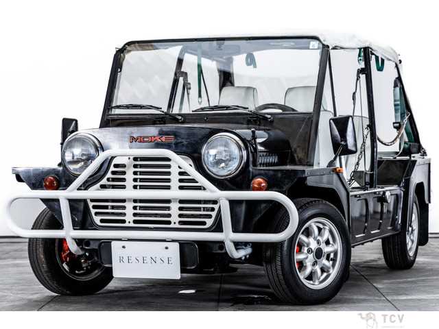 1995 Moke Moke Others
