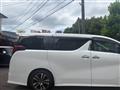 2021 Toyota Alphard G