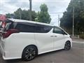 2021 Toyota Alphard G