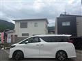 2021 Toyota Alphard G