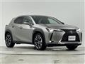 2019 Lexus UX
