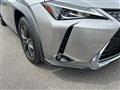 2020 Lexus UX