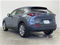 2020 Mazda CX-3