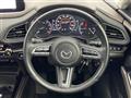 2019 Mazda CX-3
