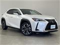 2019 Lexus UX