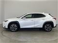 2019 Lexus UX