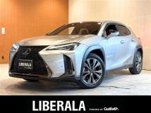 2019 Lexus UX