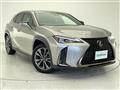 2019 Lexus UX
