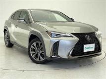 2019 Lexus UX