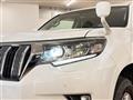 2019 Toyota Land Cruiser Prado