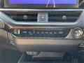 2024 Lexus UX
