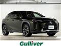 2020 Lexus UX