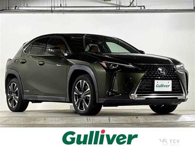 2020 Lexus UX