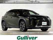 2020 Lexus UX