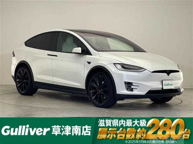 2020 Tesla Motors Others