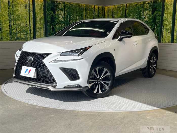 2018 Lexus NX