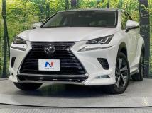 2020 Lexus NX