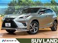 2021 Lexus NX