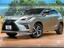 2021 Lexus NX