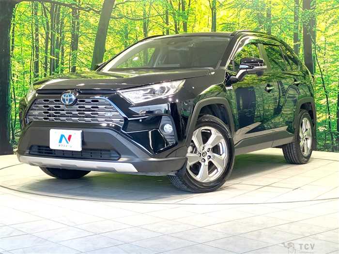 2019 Toyota RAV4