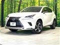 2021 Lexus NX