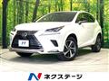 2021 Lexus NX