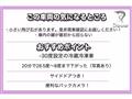 2013 Isuzu Isuzu Others