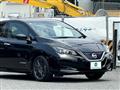 2017 Nissan Nissan Others
