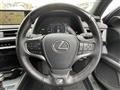 2019 Lexus UX