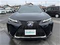 2019 Lexus UX